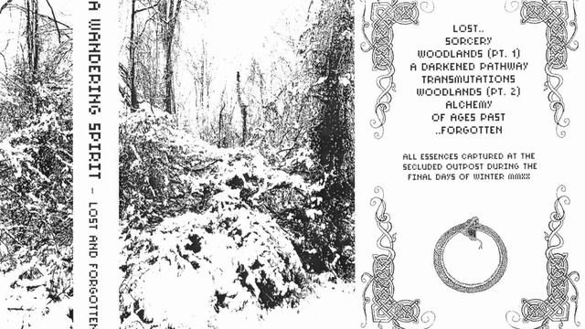 A Wandering Spirit - Lost And Forgotten (2020) (Dungeon Synth, Winter Synth) смотреть онлайн