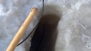 Ловля раков зимой на китайские раколовки!!! Очередная проверка 70 раков!!!