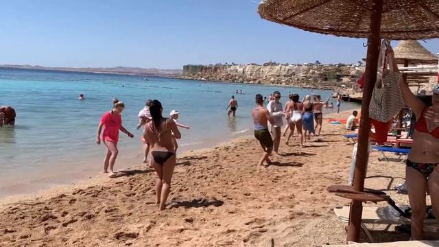 Jaz Fanara Resort видеообзор смотреть онлайн