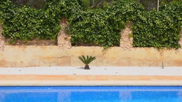 Играем в полицию весёлые истории про колесо в бассейне смотреть онлайн