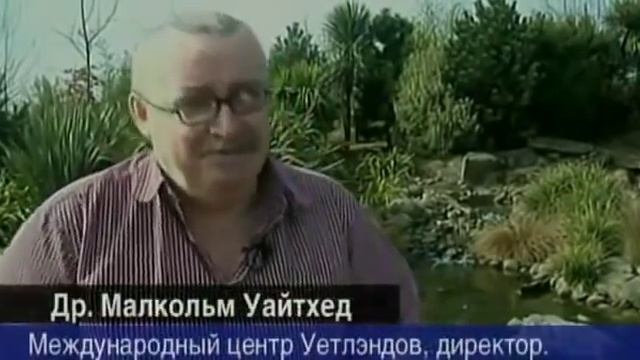 Загадки истории. Глубоководные тайны Черного моря. смотреть онлайн