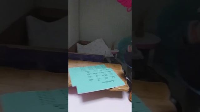 Первое нашо видео! Басик и Ваксон показывают свои комнаты смотреть онлайн