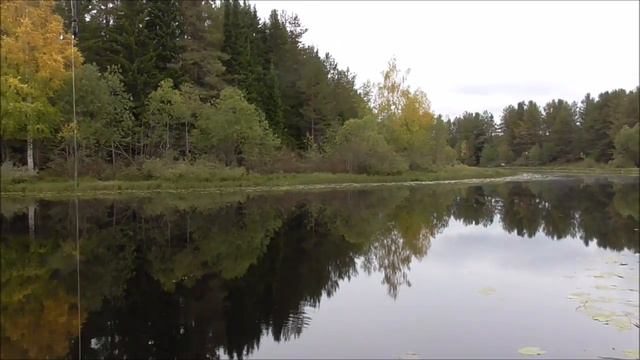Клёвая рыбалка. Жор плотвы. /часть 1/ смотреть онлайн