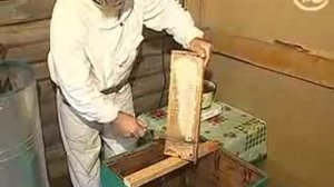 Мед   настоящий и 'липовый' Как делают мед)