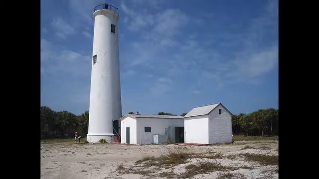 Sabal Palm Sanctuary смотреть онлайн