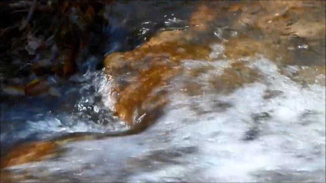 Речка, впадающая в Седанкинское водохранилище - одно из любимых мест наших прогулок. смотреть онлайн