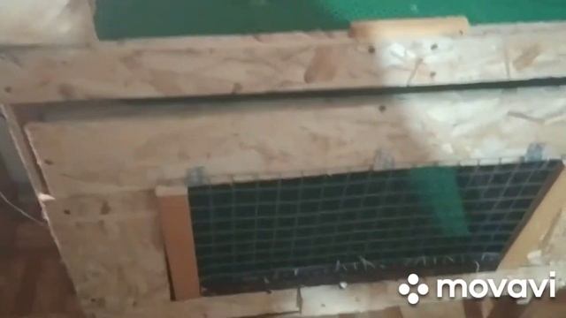 брудер для цыплят сделать своими руками✋?. смотреть онлайн