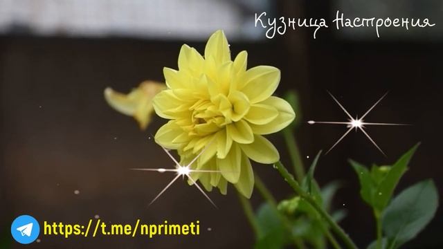 25 июня Петров День. Что нельзя делать 25 июня. Народные традиции и приметы. смотреть онлайн