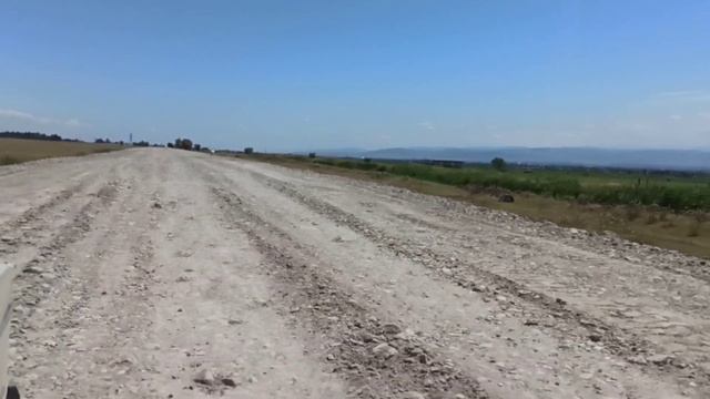 Волкодав Кавказа Грузинская горная собака НАГАЗИ Белый Хода, Питомник Волкодавов. смотреть онлайн