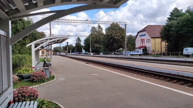 Радиация в Калининградской области г. Светлогорск смотреть онлайн