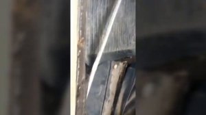 Замена уплотнителей двери ВАЗ 2101-07