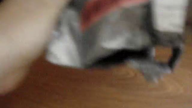 Посылка из Китая.Переходник к телефону для микрофона петлички. смотреть онлайн