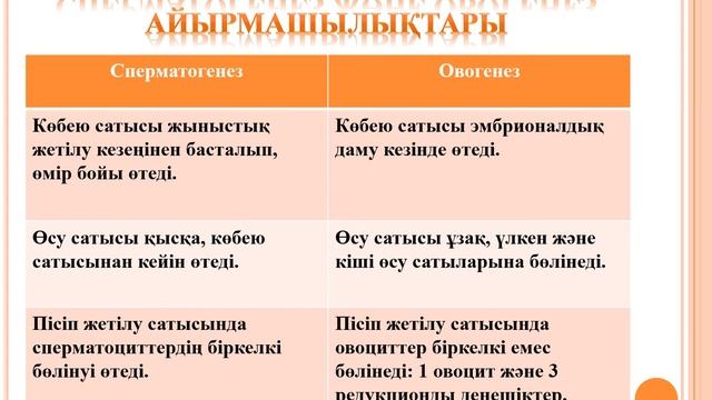 Биология  Бейсенбиева Фарида Өсімдіктер мен жануарлардағы гаметогенез бейнесабақ,2