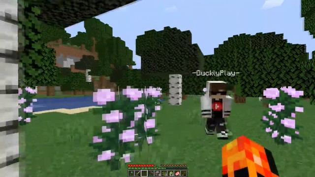 АНОМАЛИИ В МАЙНКРАФТ?! ЧТО ПРОИСХОДИТ???? | Let's Play MinCraft #1