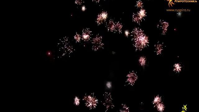 Р5722: Камелия. смотреть онлайн