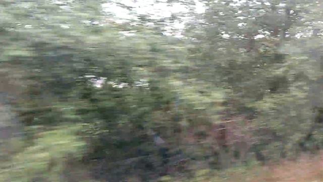 Река Луга 21.08.2021 с окна электропоезда Ласточка. Около города Толмачёво. Ленинградская область смотреть онлайн