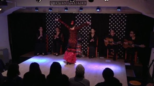 カーニャ(cana)2023.7.2