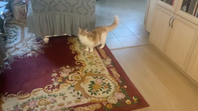 Что лежит в косметички у моей внучки…. смотреть онлайн