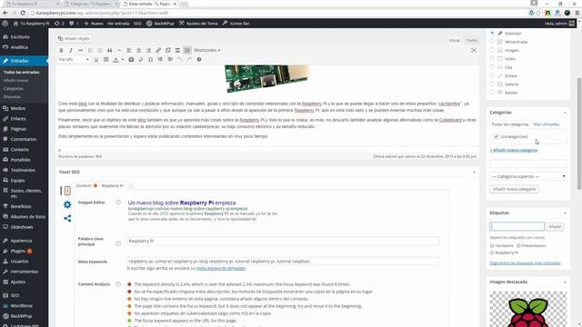 Cómo crear y gestionar categorías y etiquetas en WordPress - AndresFallet.Club смотреть онлайн