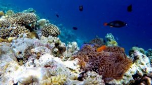 ОРАКУЛ - ПОСЛАНИЯ ОТ АНГЕЛОВ. 34