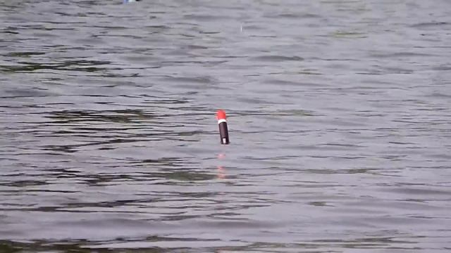 Ловля КАРПА на ПРИМИТИВНУЮ СНАСТЬ смотреть онлайн