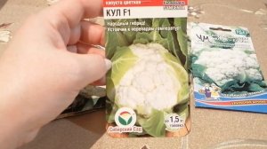 Обзор сортов ранней цветной капусты