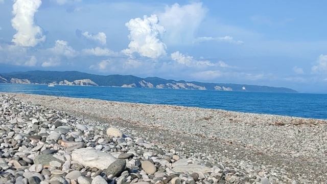 Красоты Абхазии - Пицунда, реликтовая сосна смотреть онлайн