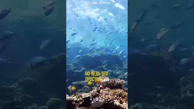 Принцип процветания смотреть онлайн