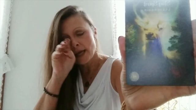 Weekly Nov 8 - Nov 14, 2021 Tarot & Oracle Reading YOU ARE BEING WATCHED OVER & GUIDED смотреть онлайн