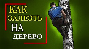 Как залезть на дерево. Схватывающий узел