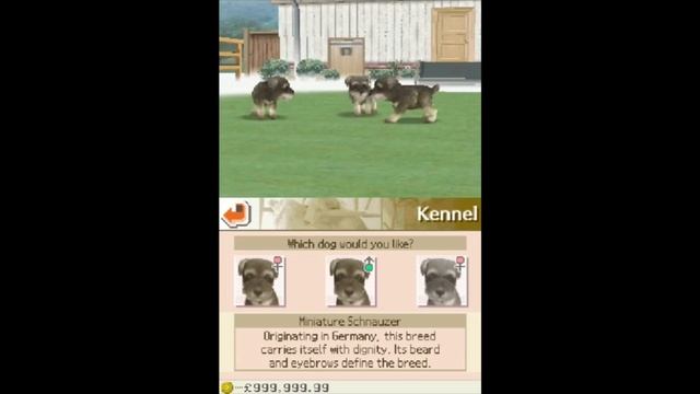 Nintendogs Lab And Friends (All Kennel Puppies Breed) смотреть онлайн