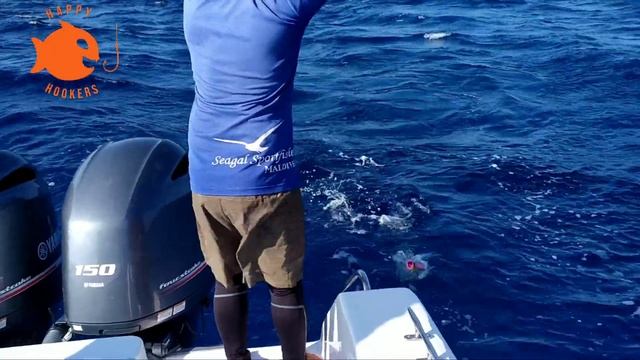 Gala #1 - MALDIVES FISHING, POPPING AND JIGGING ARMED WITH STELLAS, SALTIGAS, RIPPLE AND YAMAGAS смотреть онлайн