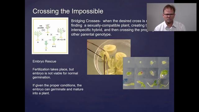 Plant Genetic Improvement смотреть онлайн