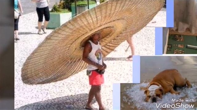 Лучшие приколы про жару. смотреть онлайн