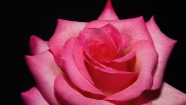 Aytekin G. Ataş - Var Git Ölüm ! (Karacaoğlan) смотреть онлайн