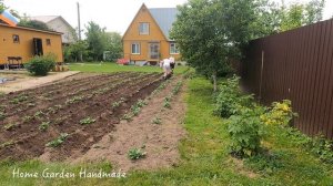 Ручной окучник. Удобная и полезная вещь при выращивании картофеля