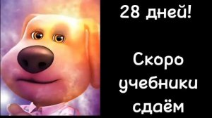 Сколько осталось до лета: