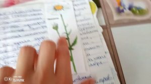 как сделать травник и его оформить 🙂