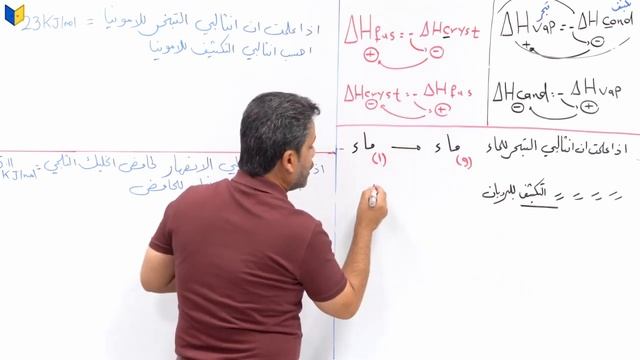 الفصل الأول | المحاضرة 13 | مهند السوداني | 2024 смотреть онлайн