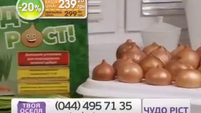 Установка для вирощування зеленої цибулі «Чудоріст» смотреть онлайн