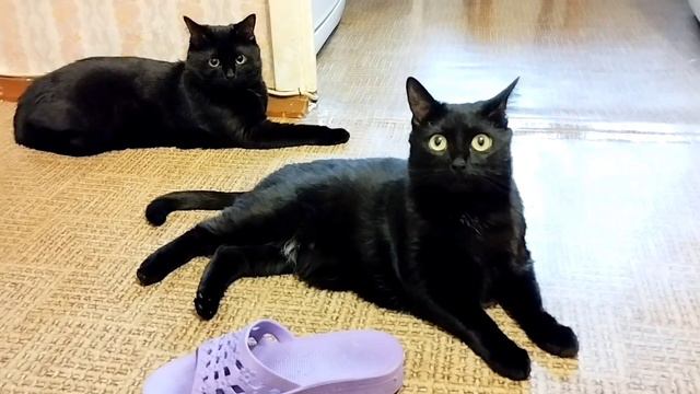 Ну всё, завтра на работу!😂 смотреть онлайн