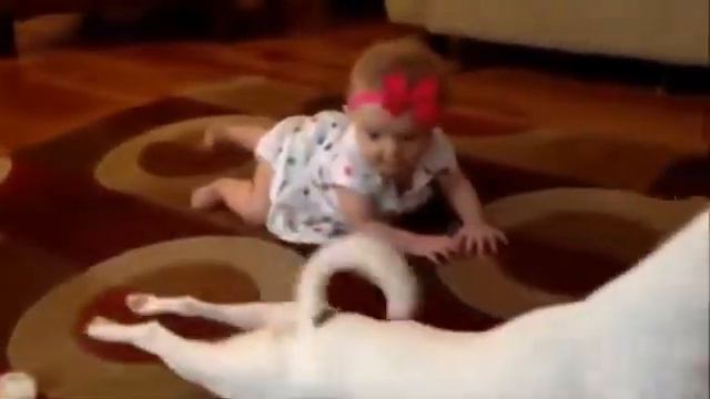 Собака учит ребенка ползать смотреть онлайн