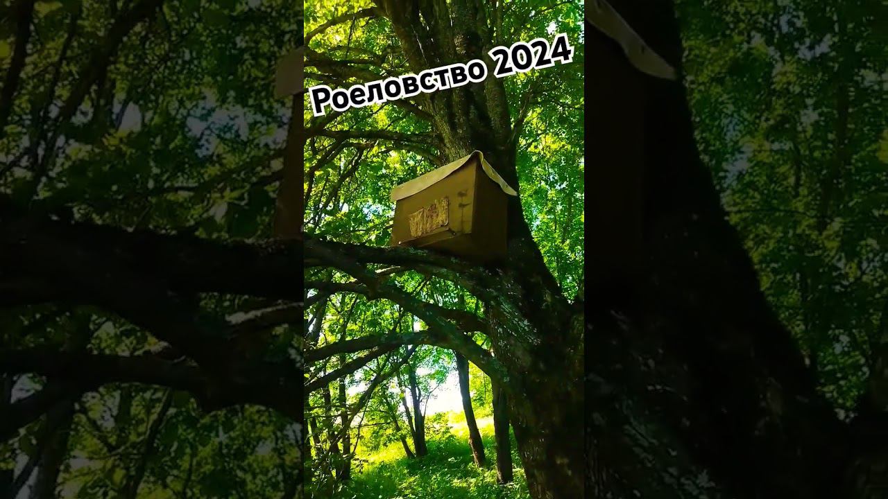 Первые рои 2024 года. #мотопчел смотреть онлайн