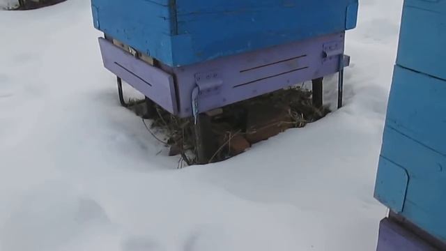 Продолжаем контроль зимовки январь смотреть онлайн