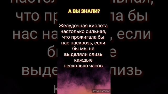Необычные факты о человеческом теле