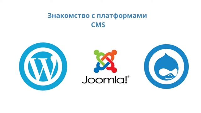 CMS Система управления контентом. Знакомство с платформами CMS смотреть онлайн