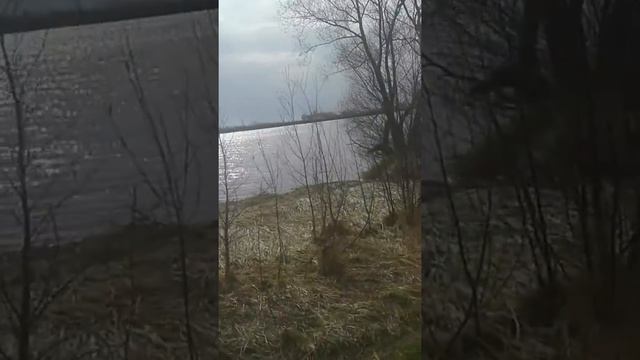 Еду на дачу. Фаустово. КП Москва-река(10) смотреть онлайн