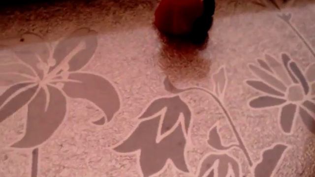 Что будем делать осенью смотреть онлайн