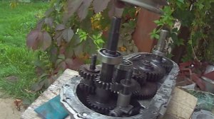 Редуктор мотоблока Салют - ( 2)