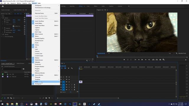 Missing Effect Controls Panel and No Toolbar Fix | Premiere Pro CC Tutorial смотреть онлайн